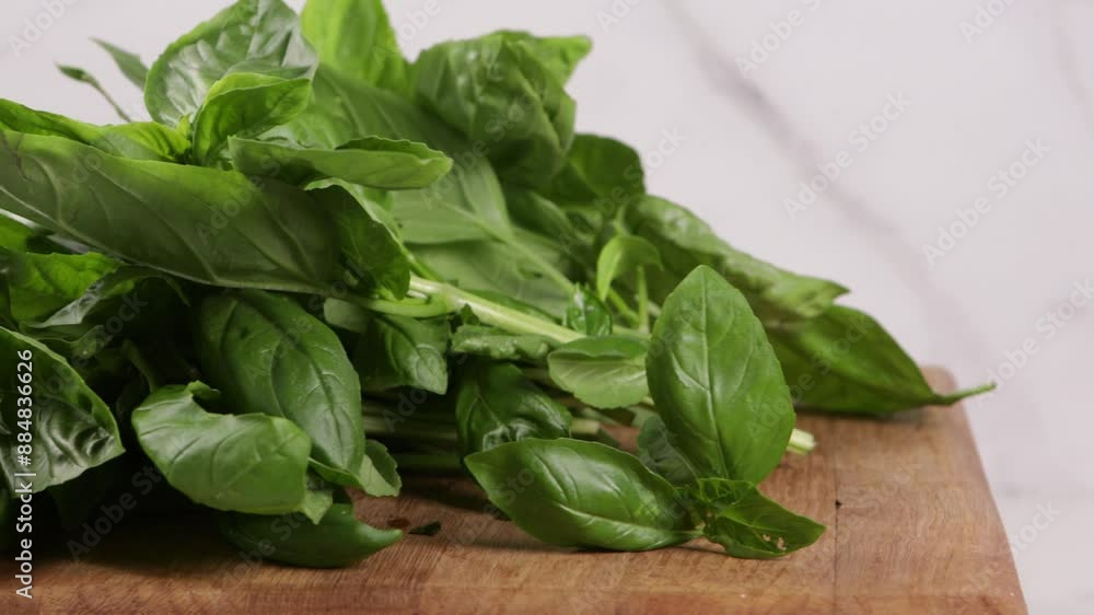 fresh basil leaves food herbs on wood fresh basil leaves food herbs on wood