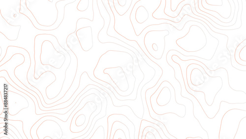 abstract pattern with lines. background of the topographic map. elevation contouring outline cartography texture. geographic abstract grid. futuristic wireframe landscape background.