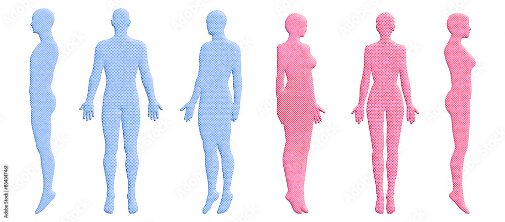Φωτογραφία 3Dモデル 水色とピンクチェック柄の男女の人体ボディイラストセット 全身正面 横向き 斜め