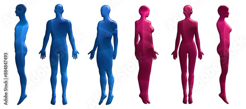 3Dモデル 赤と青の男性と女性の人体ボディイラストセット 全身正面 横向き 斜め