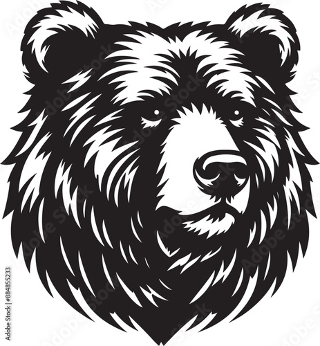Art & Illustration