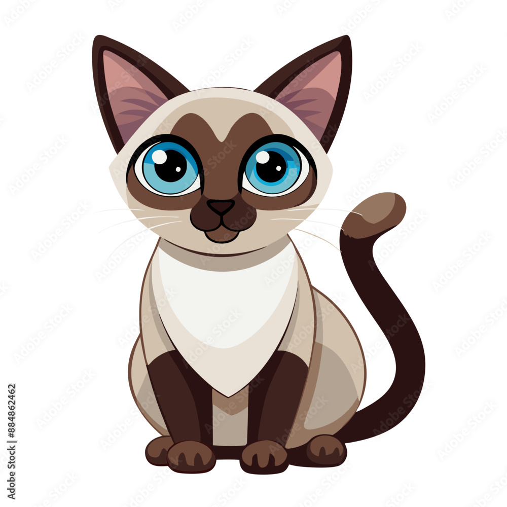 Obraz premium cute Siamese cat sitting against white background