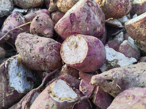 Sweet potato slices taken close up