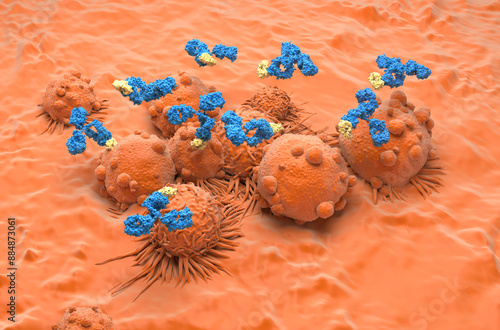 Monoclonal antibody treatment in Kidney cancer - isometric view 3d illustration photo