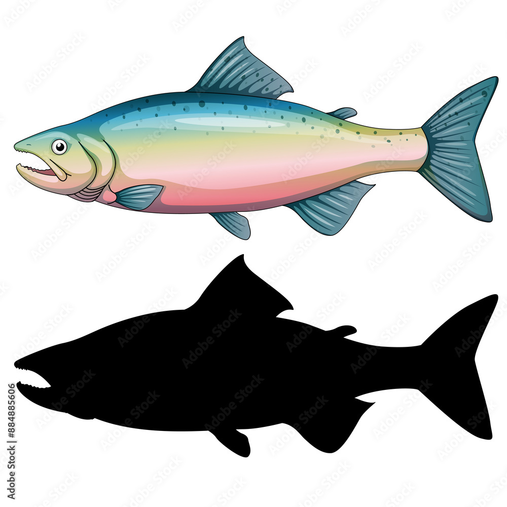Fish and its silhouette, trout fish Stock Illustration Adobe Stock