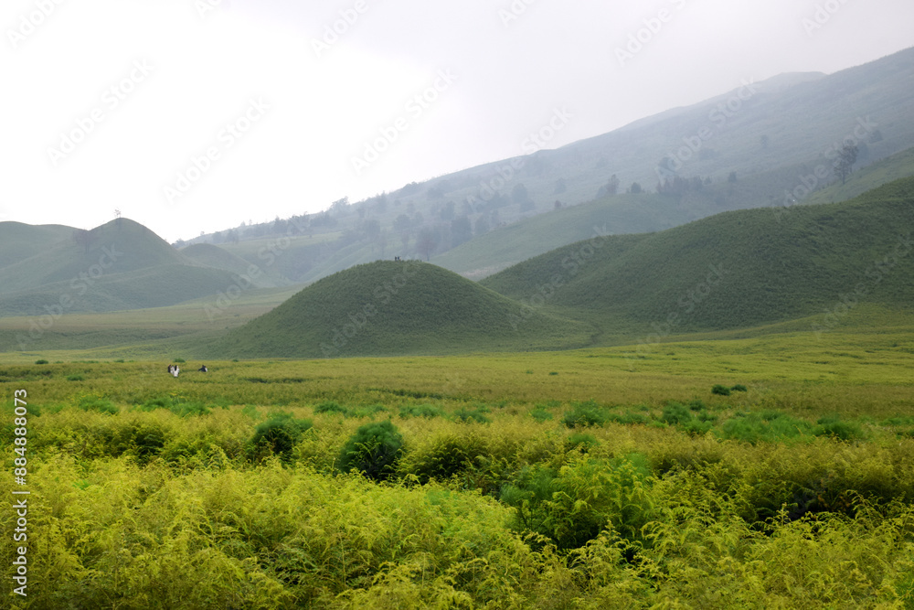 Beautiful natural scenery of the savanna around Mount Bromo Indonesia Beautiful natural scenery of the savanna around Mount Bromo Indonesia