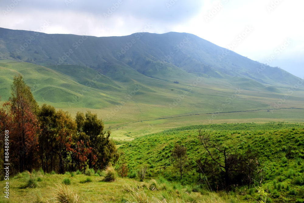 Fototapeta premium Beautiful natural scenery of the savanna around Mount Bromo Indonesia