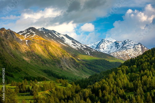 Wallpaper Mural Green trees and mountain rodge in France. Torontodigital.ca