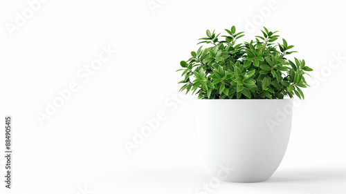 Green tea leaf collection isolated on white background. Green tea leaf collection, tea leaf isolated, green tea leaves, tea leaves collection, green tea isolated, tea leaf set, fresh tea leaves,