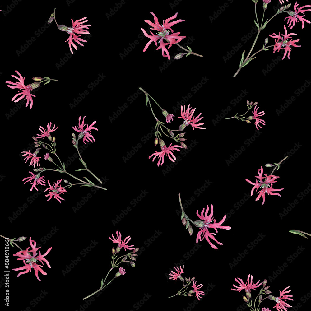 Seamless pattern with pink ragged-robin wildflowers (silene flos-cuculi, cuckoo flower, crowflower). Watercolor hand drawn painting illustration on black background Seamless pattern with pink ragged-robin wildflowers (silene flos-cuculi, cuckoo flower, crowflower). Watercolor hand drawn painting illustration on black background