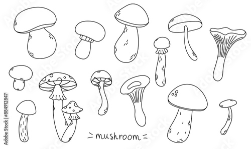 Autumn mushrooms doodle set. Chanterelle mushrooms, fly agaric, boletus, boletus mushroom. Vector illustration on a white background