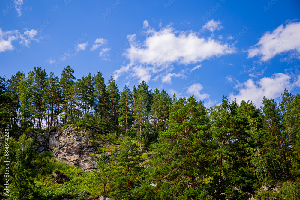 Beautiful landscape - mountain forest and blue sky in Altai