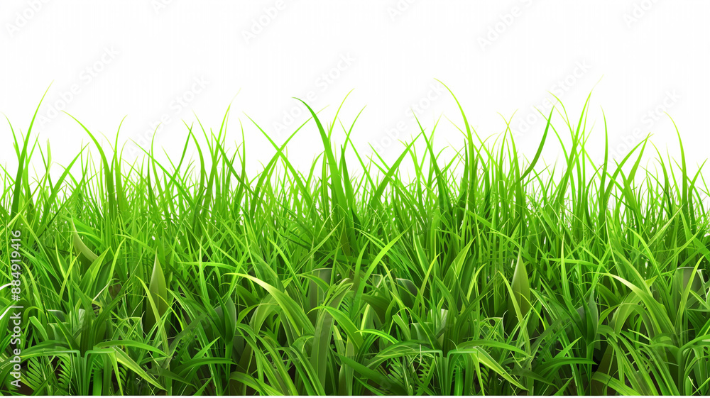 Green grass isolated on white background High resolution. green grass, grass isolated, white background, high resolution, lush green grass, fresh grass, grass texture, isolated grass, grass close-up, Green grass isolated on white background High resolution. green grass, grass isolated, white background, high resolution, lush green grass, fresh grass, grass texture, isolated grass, grass close-up,