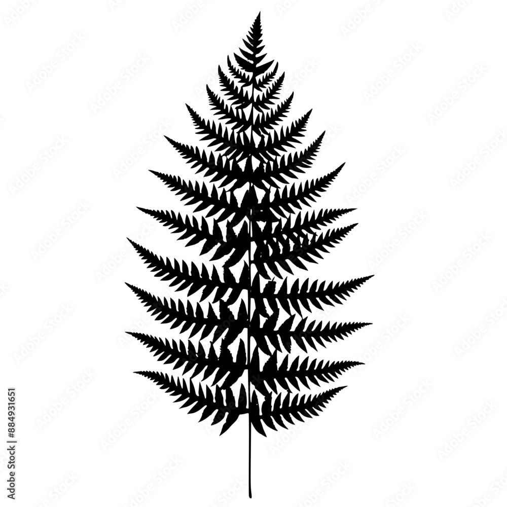 Silhouettes of Fern Leaves, A collection of black fern leaf silhouettes , showcasing the intricate details of the leaves.
Silhouettes of Fern Leaves, A collection of black fern leaf silhouettes , showcasing the intricate details of the leaves.