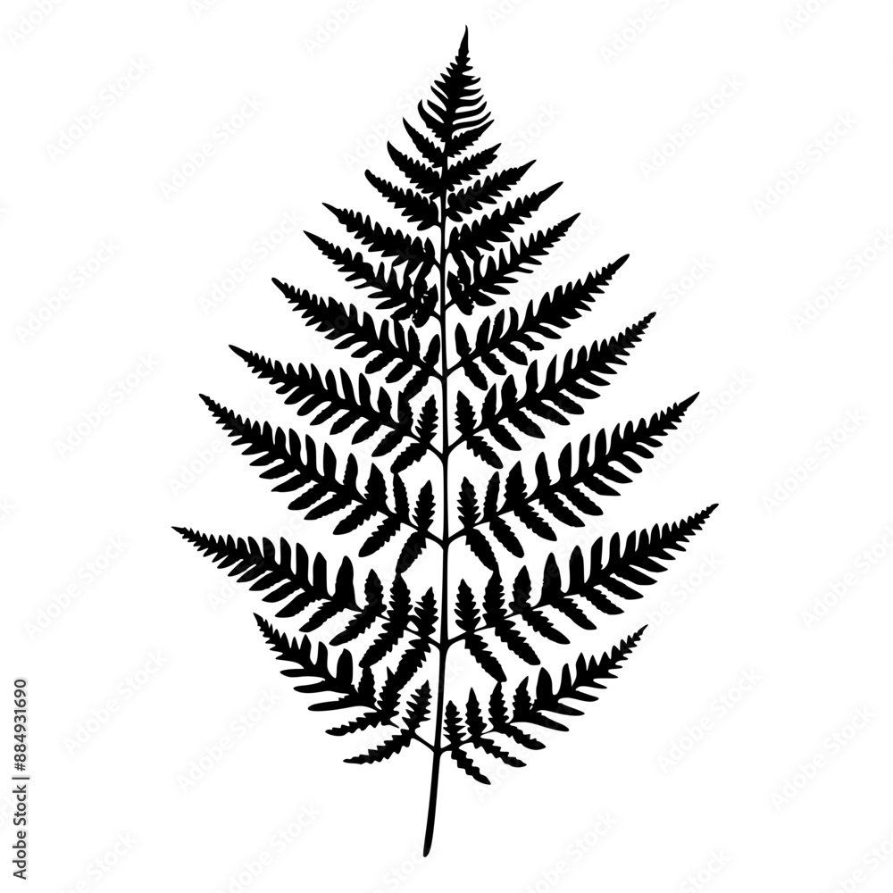 Silhouettes of Fern Leaves, A collection of black fern leaf silhouettes , showcasing the intricate details of the leaves.
