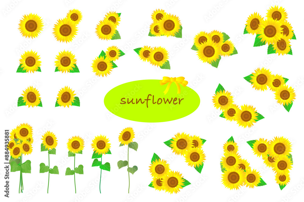 ひまわりの花の素材の詰め合わせセット ひまわりの花の素材の詰め合わせセット