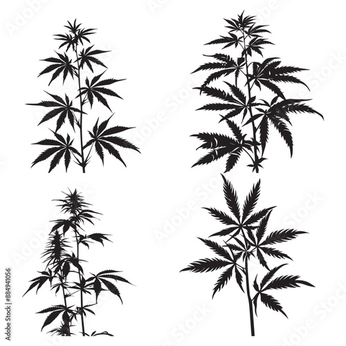 Creative Black Weed Vector Silhouette Art,
Modern Black Weed Vector Silhouette Illustration photo