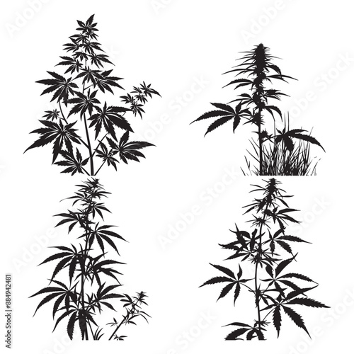Creative Black Weed Vector Silhouette Art,
Modern Black Weed Vector Silhouette Illustration