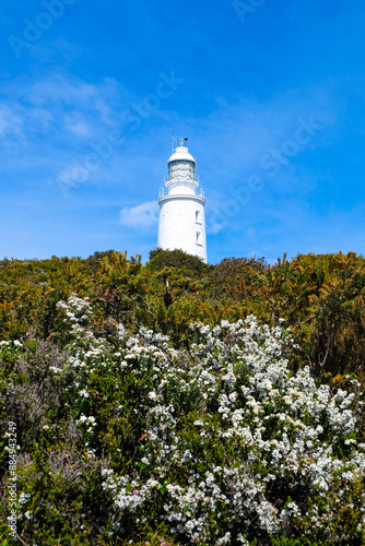 Wallpaper Mural Bruny Cape, Lighthouse, Island, Tasmania Wilderness, Australia  Torontodigital.ca