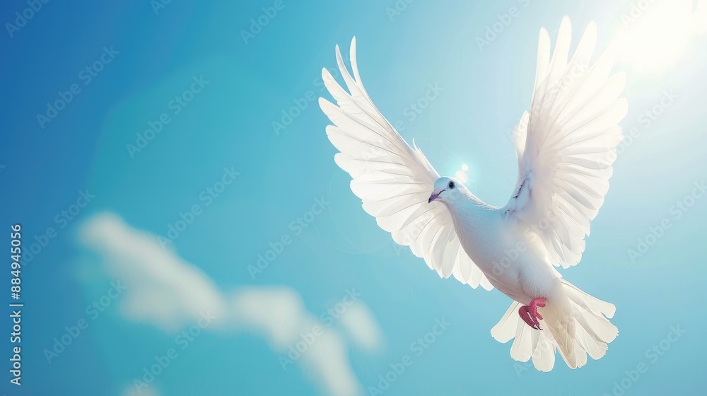 Elegant bird gliding in clear blue sky on sunny day in natural habitat Elegant bird gliding in clear blue sky on sunny day in natural habitat