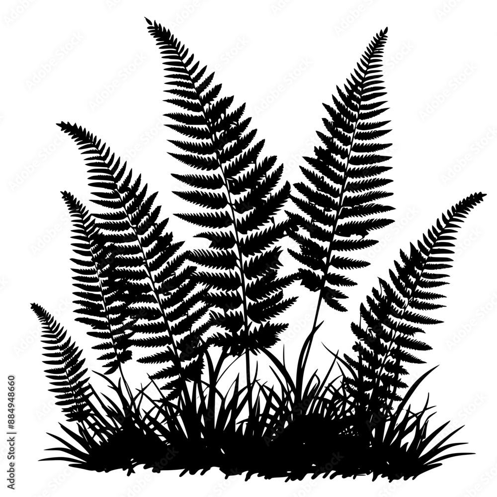 Naklejka premium Black Fern Silhouettes in Natural Setting, Black silhouettes of ferns in natural settings, displaying the detailed and intricate patterns of fern leaves against a white background.