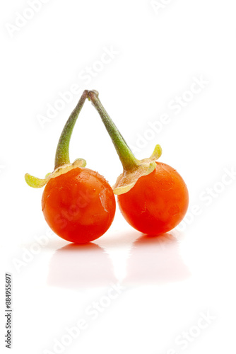 Close-up of Fresh Organic Red nightshade or Makoy (Solanum nigrum) fruit. Isolated on a white background. photo