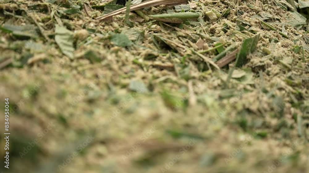 close-up of ground grass mixed with bran close-up of ground grass mixed with bran