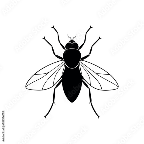 Fly insect vector illustration, Fly icon silhouette vector illustration