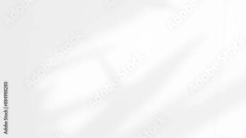 Nature Shadow Grey Background Wall Light White Overlay Abstract Plant 4k Backdrop Mockup Minimal Summer Wallpaper, Blur Nature Spring Autumn Orange Video Vintage Light Branching floral,Card Holidays.