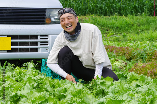 レタス畑で収穫作業をする男性 photo