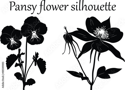 Pansy flower silhouette, pansy flower clipart, a Vector illustration of a Beautiful flower with a bouquet of pansies and leaves. Silhouettes of wild pansy flowers on delicate stems with leaves in a me