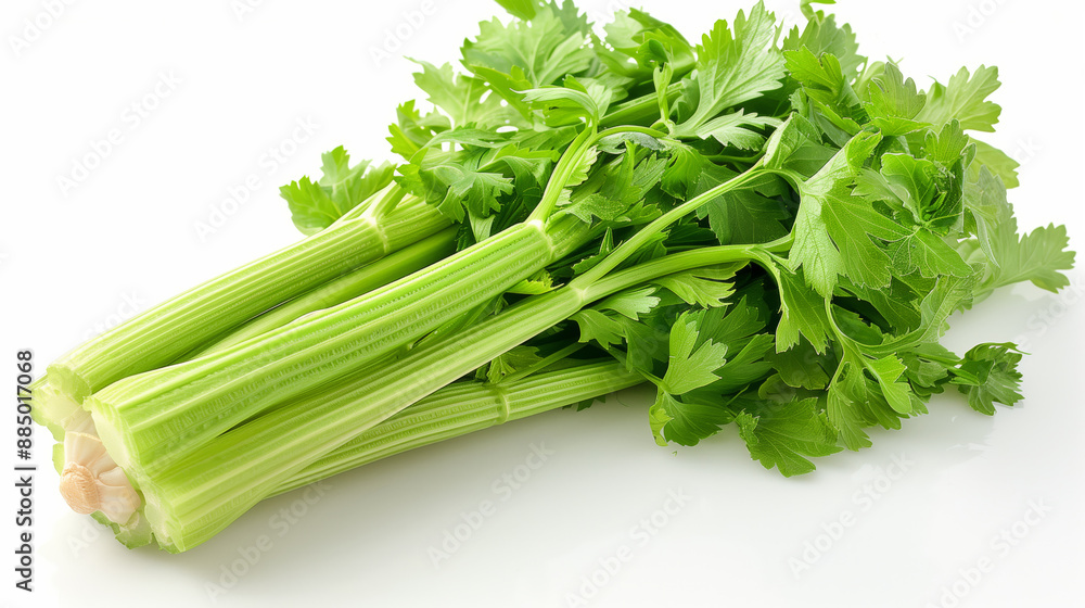 Fresh green celery stalks with vibrant leaves on a white background, ideal for healthy recipes and nutrition concepts. Fresh green celery stalks with vibrant leaves on a white background, ideal for healthy recipes and nutrition concepts.