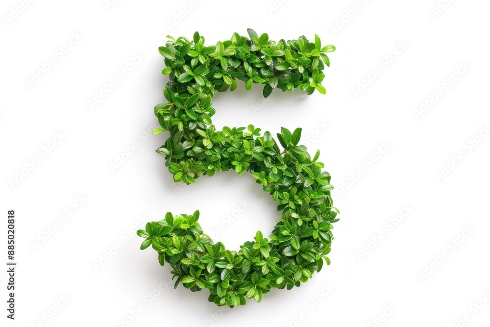 Number 5 in shape of green grass and leaves Isolated on white background Number 5 in shape of green grass and leaves Isolated on white background