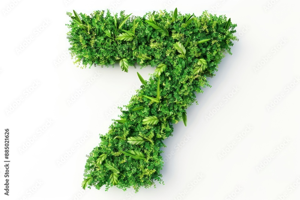 Number 7 in shape of green grass and leaves Isolated on white background Number 7 in shape of green grass and leaves Isolated on white background