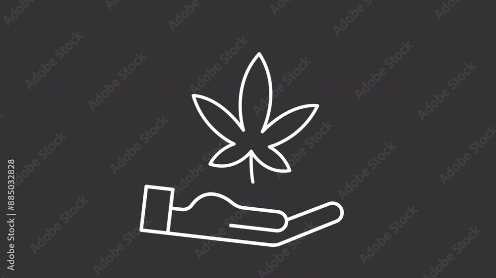 Sativa cannabis white line animation. Marijuana animated icon. Moving hand, holding. Floating weed leaf. Isolated illustration on dark background. Transition alpha video. Motion graphic Sativa cannabis white line animation. Marijuana animated icon. Moving hand, holding. Floating weed leaf. Isolated illustration on dark background. Transition alpha video. Motion graphic