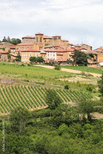 View of the village of Theizé in Beaujolais, France	