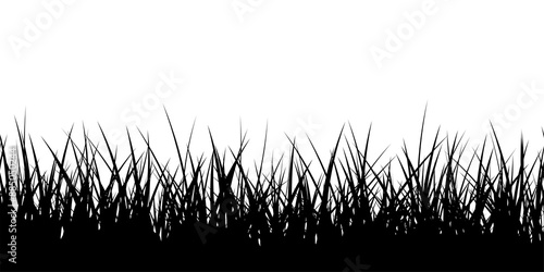 Black border silhouette grass seamless texture Isolated PNG