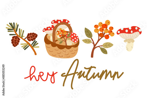 Hello Autumn vector illustration. Set of flat autumn forest plants. A branch of a pine tree with cones, forest poisonous mushrooms, a branch of sea buckthorn. Hand written inscription hey Autumn