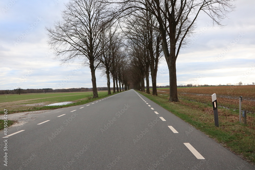 Fototapeta premium Serene drive on a straight country road with beautiful views and trees in a peaceful setting