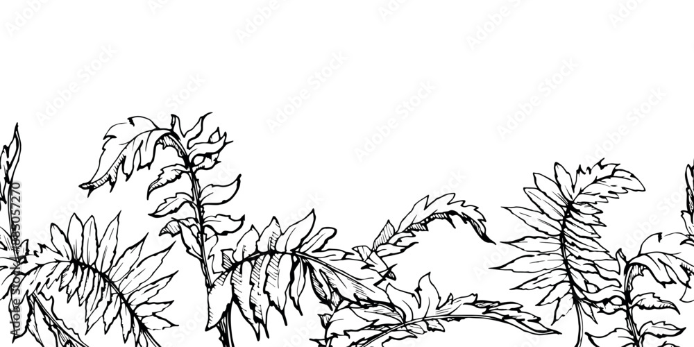 Fototapeta premium Hand drawn vector graphic botanical illustration flowers leaves. Red poppy papaver, stems buds seedpods. Seamless banner isolated white background. Design wedding, cards, remembrance day stationery