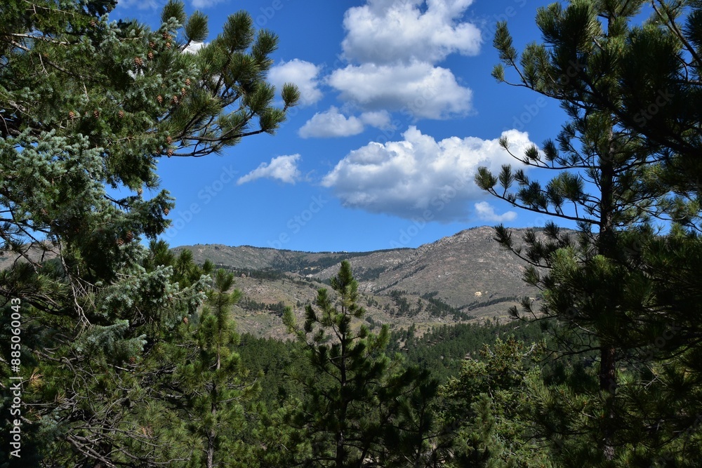 View of a mountainous landscape framed by pine trees under a clear blue sky with scattered clouds View of a mountainous landscape framed by pine trees under a clear blue sky with scattered clouds