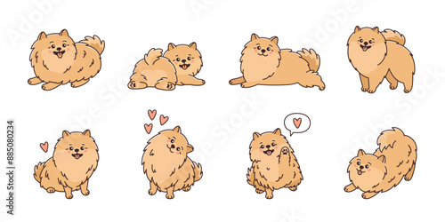Cute dogs set. Playful dogs of Pomeranian spitz breed. Amusing fluffy pets. Small purebred puppys in funny poses. Happy animals smiling. Vector illustration isolated on white background