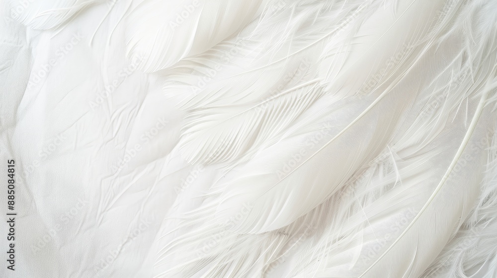 Obraz premium Feather texture in bright white Top view with copy space Ideal for greeting cards Focus on special occasions