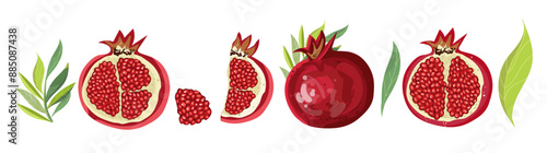 Set of pomegranate fruits. Isolated elements for design. Pomegranate vector illustration. Pomegranate, berries, seeds and leaves in cartoon style. SHANA TOVA. Pomegranate fruit vector abstract icon.