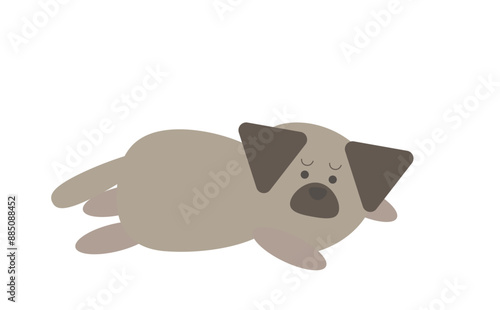 体調不良の犬