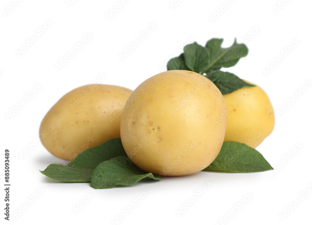 Fresh raw potatoes and green leaves isolated on white Fresh raw potatoes and green leaves isolated on white