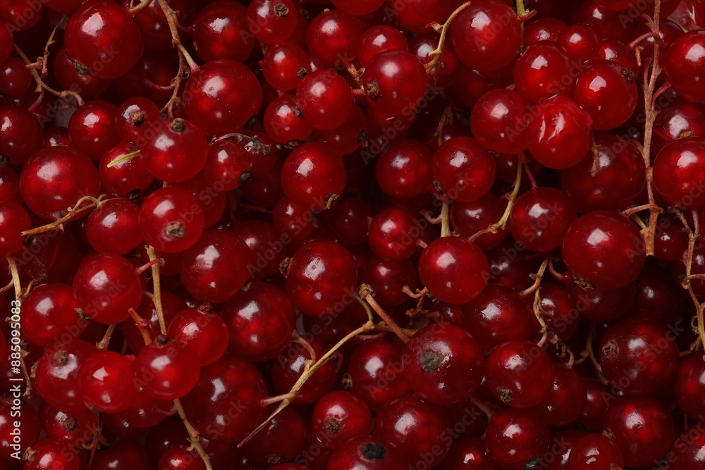 Fresh ripe red currants as background, top view Fresh ripe red currants as background, top view