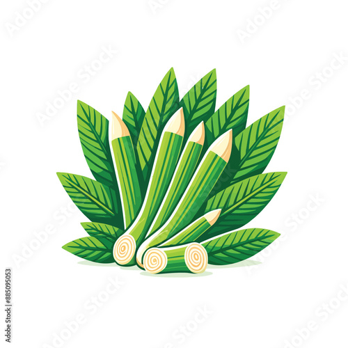 fresh lemongrass leaves cartoon on white background