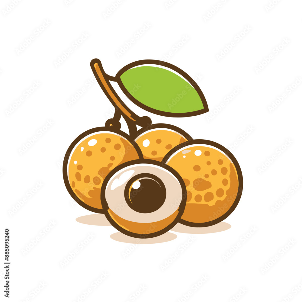 fresh longan fruit cartoon in flat design style fresh longan fruit cartoon in flat design style