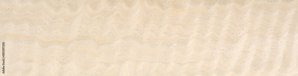 Fototapeta premium Gentle waves of creamy beige wash over the smooth surface of this ash wood veneer, suggesting serenity and natural elegance